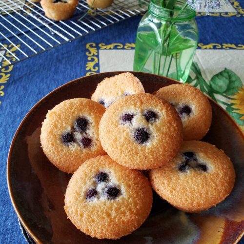 black raspberry-browned butter financiers