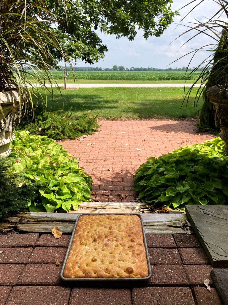 Olive Oil Focaccia 